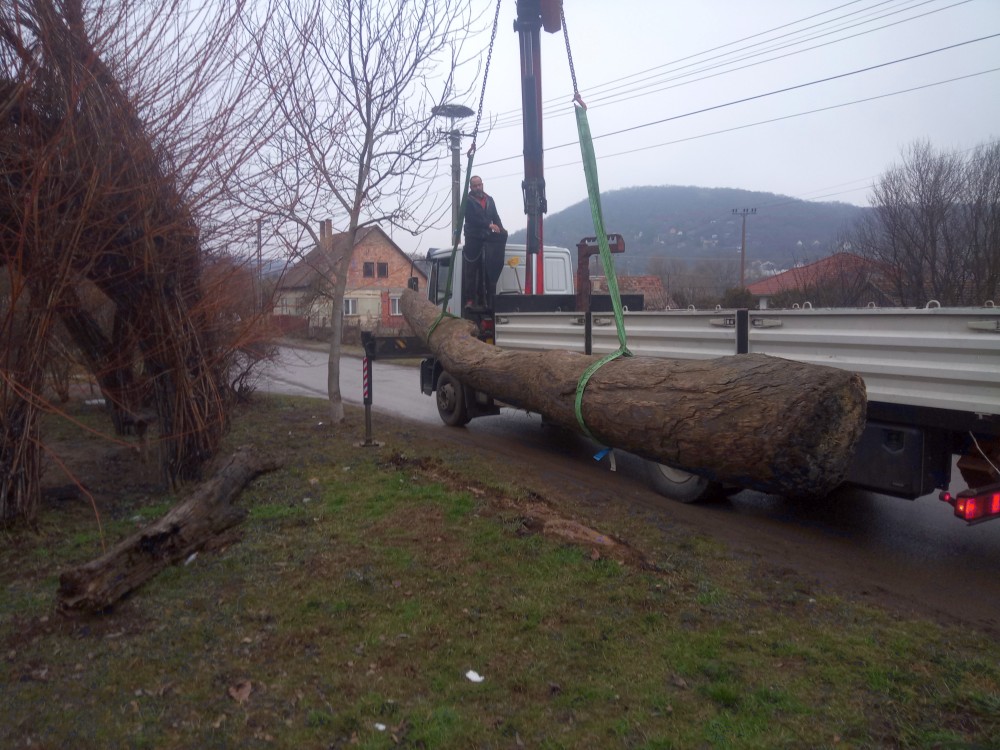 Zentai uszadékfa pad 2026 mi helyett