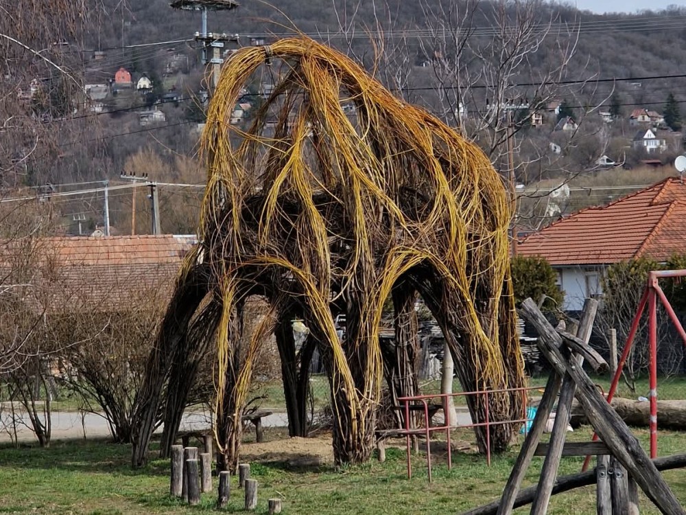 Zentai fűzfakunyhó 2026 metszés után