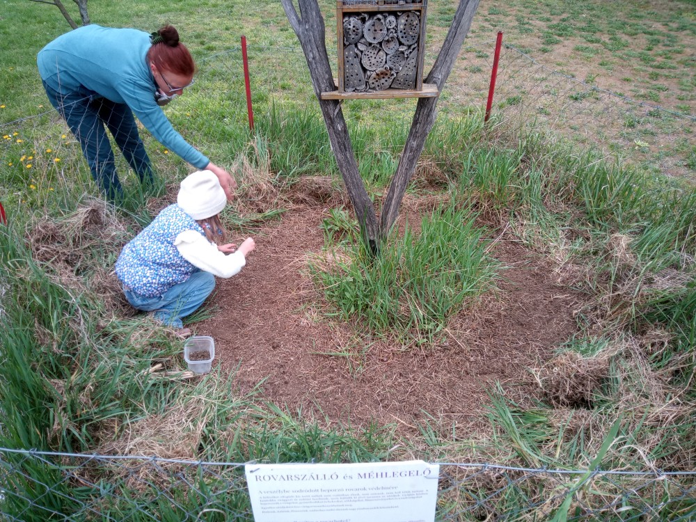 Magszórás